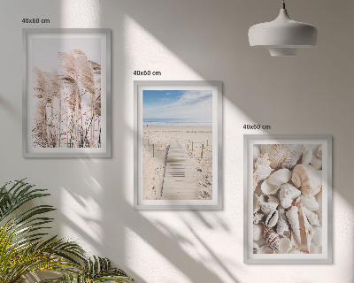 Lot de 3 tableaux pour salon Coquillages de plage, herbes marines
