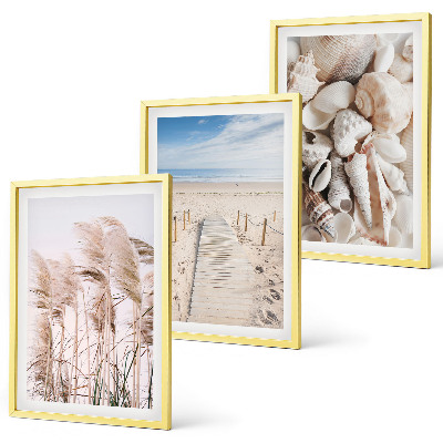 Lot de 3 tableaux pour salon Coquillages de plage, herbes marines
