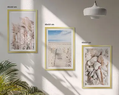 Lot de 3 tableaux pour salon avec motif coquillages de plage et herbes marines
