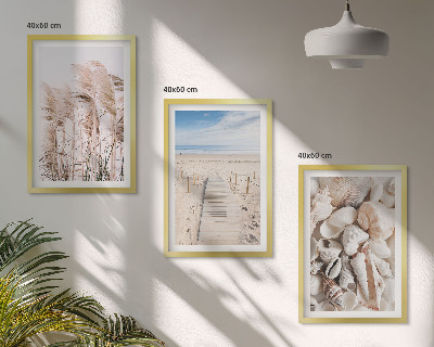 Lot de 3 tableaux pour salon Coquillages de plage, herbes marines