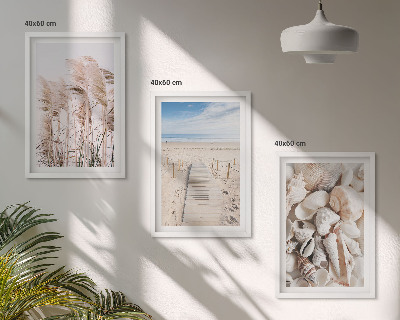 Lot de 3 tableaux pour salon Coquillages de plage, herbes marines