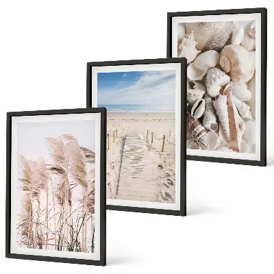 Lot de 3 tableaux pour salon avec motif coquillages de plage et herbes marines