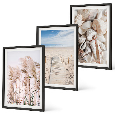 Lot de 3 tableaux pour salon Coquillages de plage, herbes marines