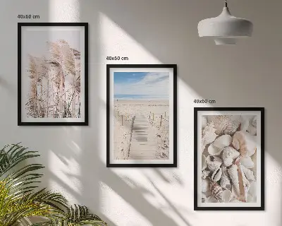 Lot de 3 tableaux pour salon avec motif coquillages de plage et herbes marines