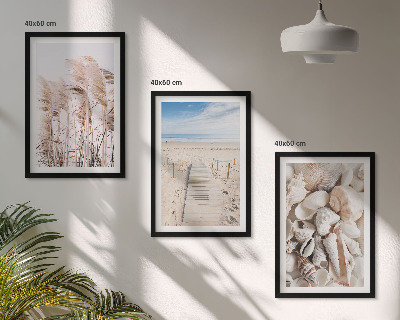 Lot de 3 tableaux pour salon Coquillages de plage, herbes marines
