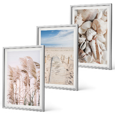 Lot de 3 tableaux pour salon Coquillages de plage, herbes marines