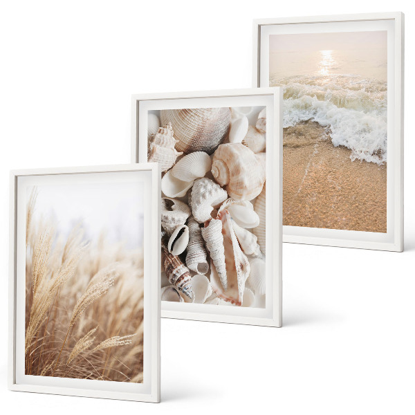 Lot de 3 tableaux pour salon Motifs de plage, coquillages, vagues