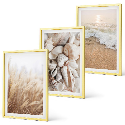 Lot de 3 tableaux pour salon Motifs de plage, coquillages, vagues