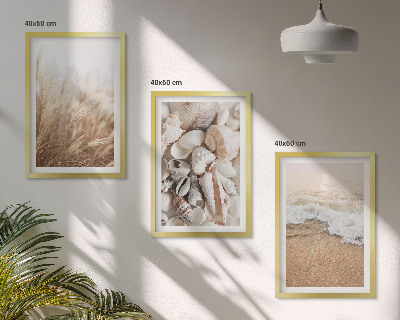 Lot de 3 tableaux pour salon Motifs de plage, coquillages, vagues