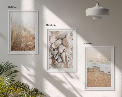 Lot de 3 tableaux pour salon Motifs de plage, coquillages, vagues