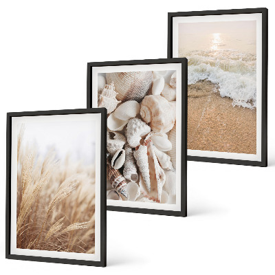 Lot de 3 tableaux pour salon Motifs de plage, coquillages, vagues