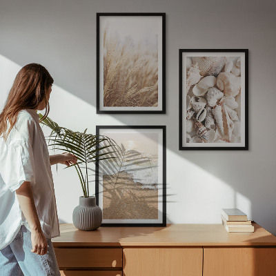 Lot de 3 tableaux pour salon Motifs de plage, coquillages, vagues