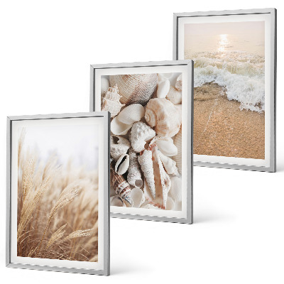 Lot de 3 tableaux pour salon Motifs de plage, coquillages, vagues