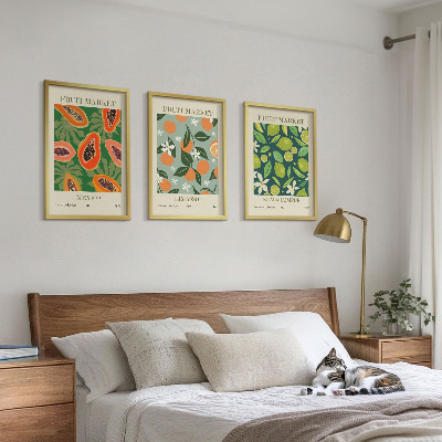 Lot de 3 tableaux pour salon Affiches vintage de fruits