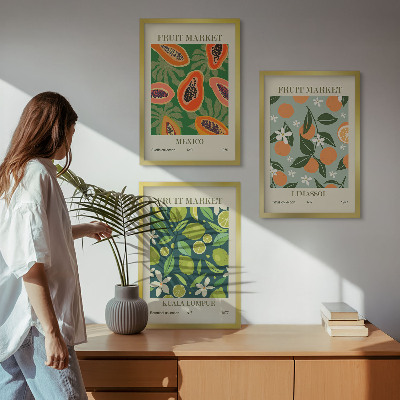 Lot de 3 tableaux pour salon Affiches vintage de fruits