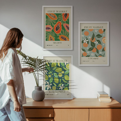Lot de 3 tableaux pour salon Affiches vintage de fruits