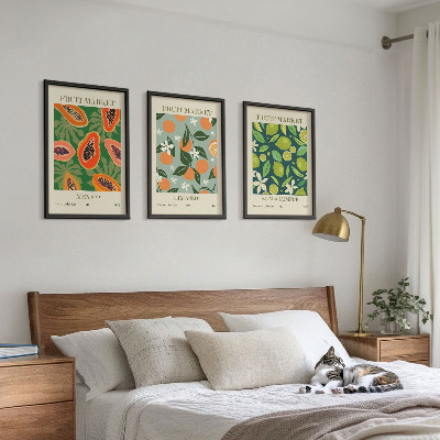 Lot de 3 tableaux pour salon Affiches vintage de fruits