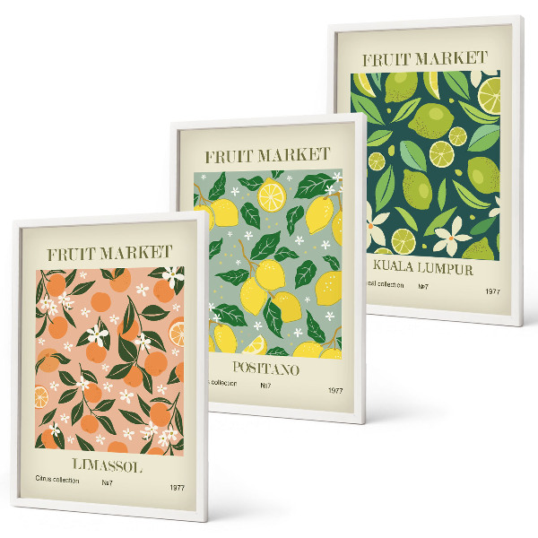 Lot de 3 tableaux pour salon Motifs de fleurs d'agrumes fruitées