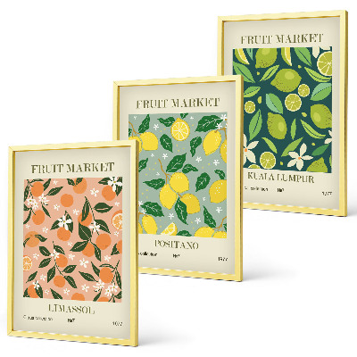 Lot de 3 tableaux pour salon Motifs de fleurs d'agrumes fruitées