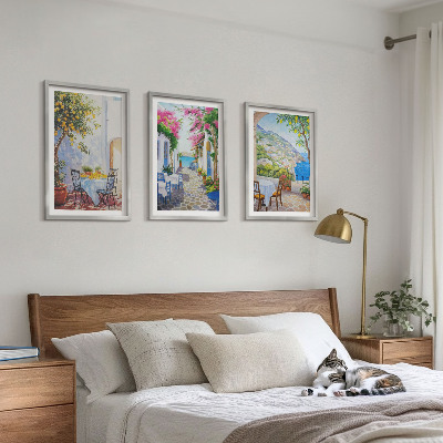 Lot de 3 tableaux pour salon Rues charmantes, plantes, mer
