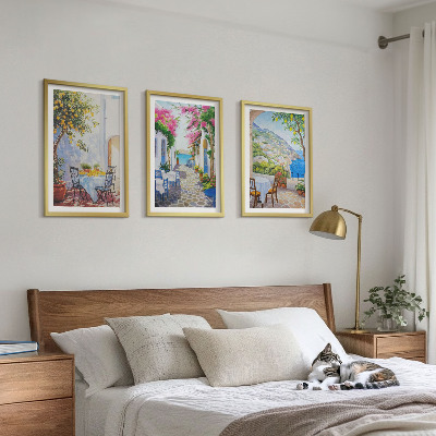Lot de 3 tableaux pour salon Rues charmantes, plantes, mer
