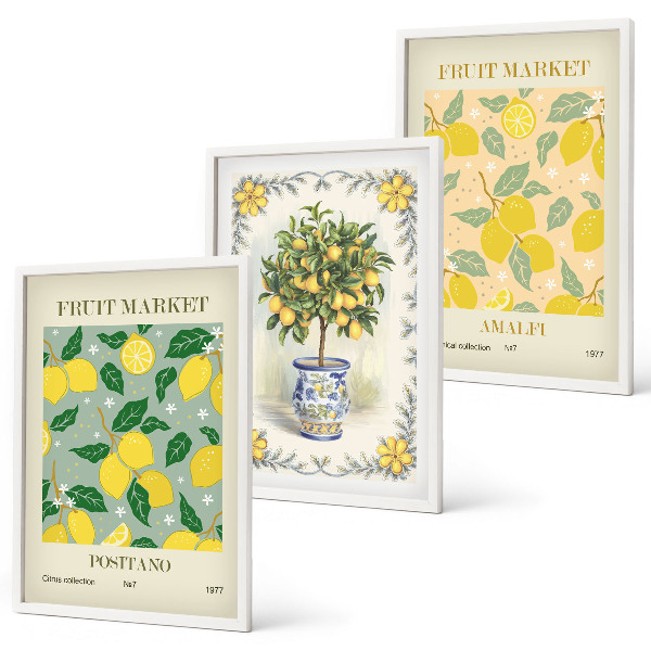 Lot de 3 tableaux pour salon Agrumes, fruits d'Italie