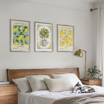 Lot de 3 tableaux pour salon Agrumes, fruits d'Italie