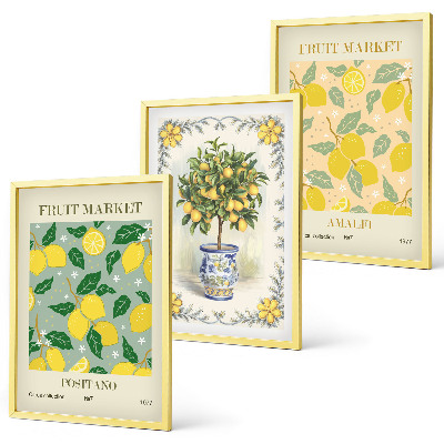 Lot de 3 tableaux pour salon Agrumes, fruits d'Italie