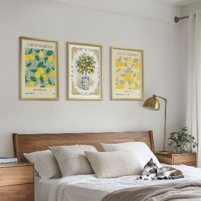 Lot de 3 tableaux pour salon Agrumes, fruits d'Italie