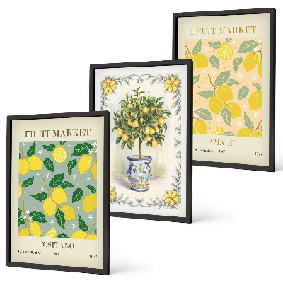 Lot de 3 tableaux pour salon Agrumes, fruits d'Italie