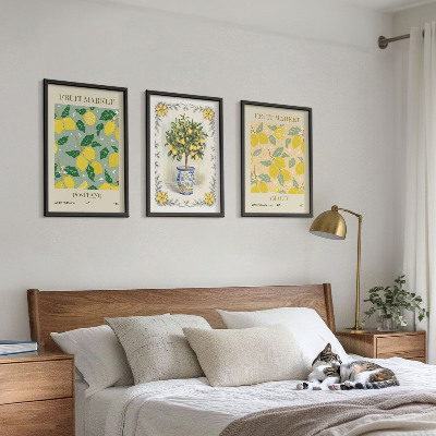 Lot de 3 tableaux pour salon Agrumes, fruits d'Italie