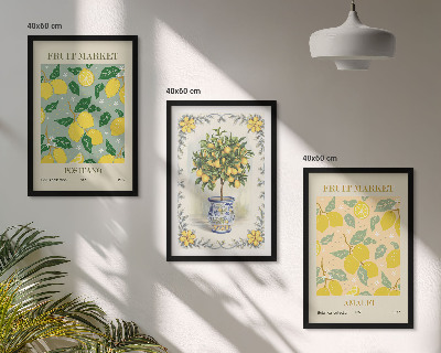 Lot de 3 tableaux pour salon Agrumes, fruits d'Italie