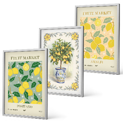 Lot de 3 tableaux pour salon Agrumes, fruits d'Italie