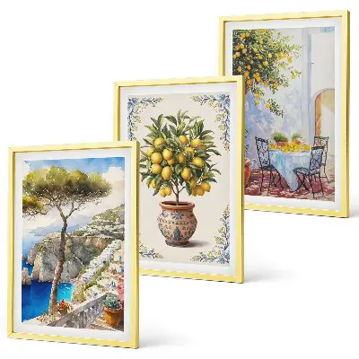 Lot de 3 tableaux pour salon représentant une table de citronnier de mer