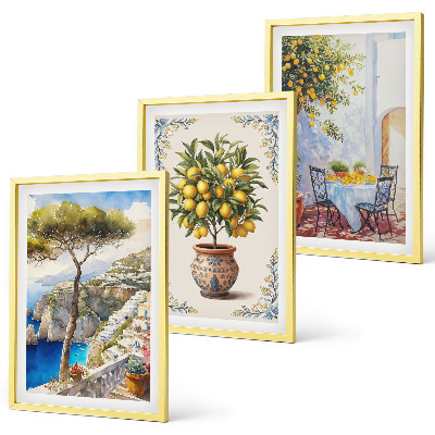 Lot de 3 tableaux pour salon Table de citronnier de mer
