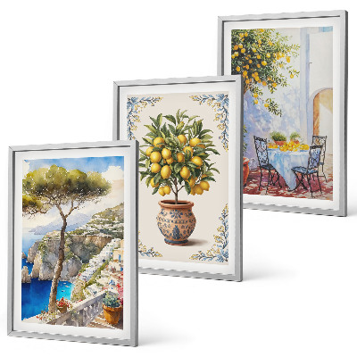Lot de 3 tableaux pour salon Table de citronnier de mer