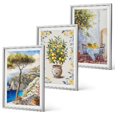 Lot de 3 tableaux pour salon Peintures de citronniers de mer
