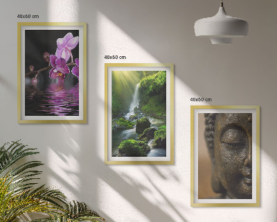 Cadre photo mural Cascade de fleurs, rocher de Bouddha, zen