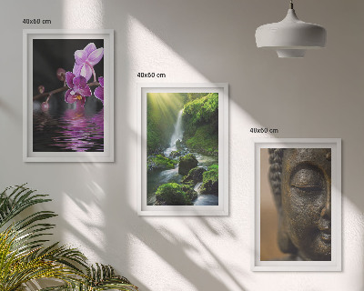 Cadre photo mural Cascade de fleurs, rocher de Bouddha, zen