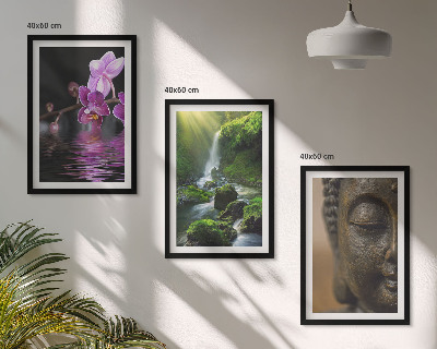 Cadre photo mural Cascade de fleurs, rocher de Bouddha, zen