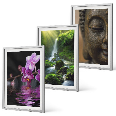 Cadre photo mural Cascade de fleurs, rocher de Bouddha, zen