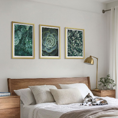 Cadre photo mural Plantes succulentes