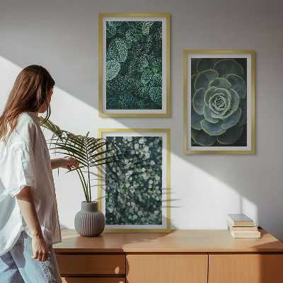 Cadre photo mural Plantes succulentes