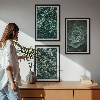 Cadre photo mural Plantes succulentes