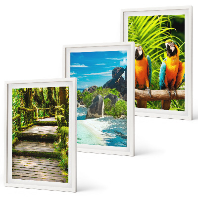 Cadre photo mural Cascade de perroquets de la forêt tropicale
