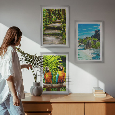 Cadre photo mural Cascade de perroquets de la forêt tropicale