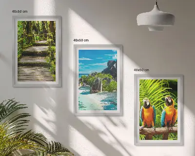 Cadre photo mural représentant une cascade de perroquets dans la forêt tropicale