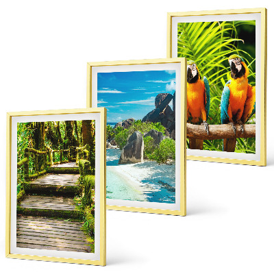 Cadre photo mural Cascade de perroquets de la forêt tropicale