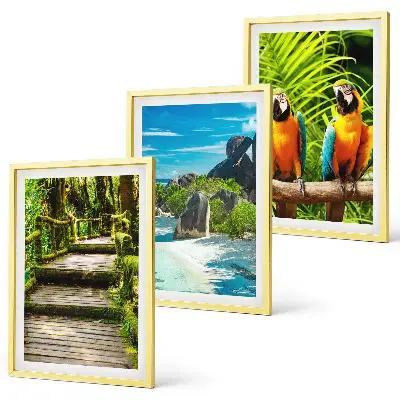 Cadre photo mural représentant une cascade de perroquets dans la forêt tropicale