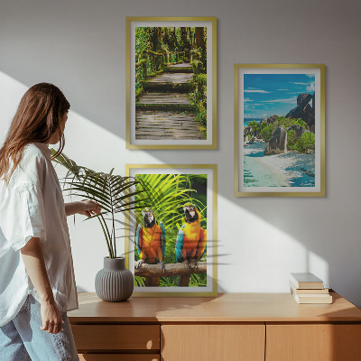 Cadre photo mural Cascade de perroquets de la forêt tropicale